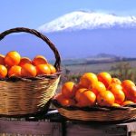 Come Avviare E-Commerce e vendere Arance di Sicilia